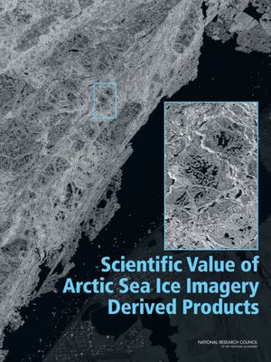 cover image of Scientific Value of Arctic Sea Ice Imagery Derived Products